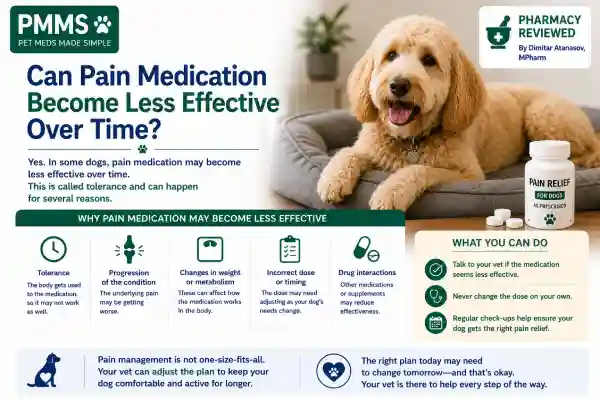 Can Dogs Take Pain Medication Long-Term