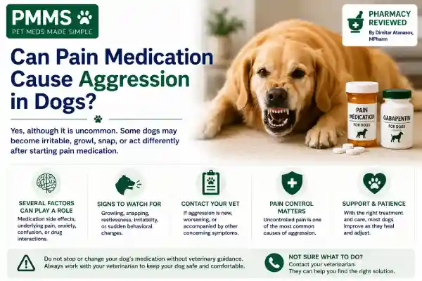 Can Pain Medication Cause Aggression in Dogs