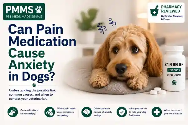 Can Pain Medication Cause Anxiety in Dogs