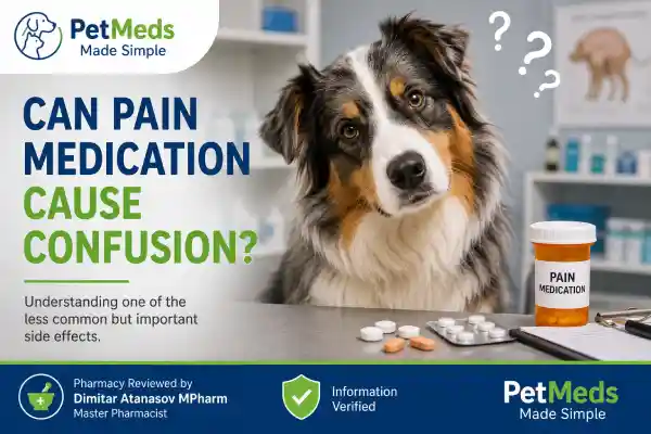 Can Pain Medication Cause Personality Changes in Dogs