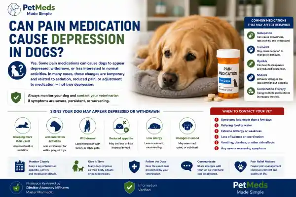 Can Pain Medication Cause Depression in Dogs