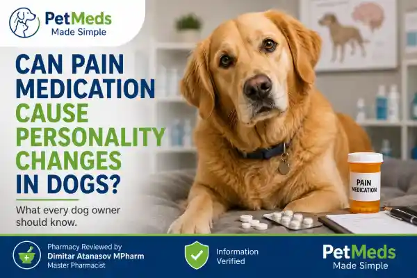 Can Pain Medication Cause Personality Changes in Dogs