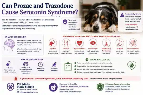 Can Dogs Take Prozac and Trazodone Together