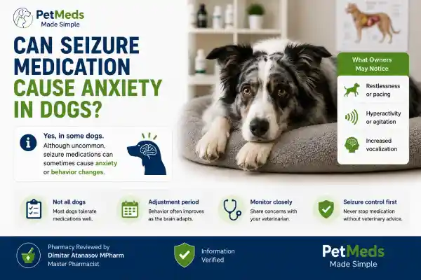 Can Seizure Medication Cause Anxiety in Dogs