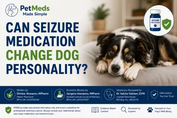 Can Seizure Medication Change Dog Personality