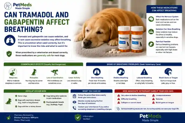Can Dogs Take Tramadol and Gabapentin Together