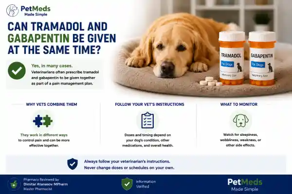 Can Dogs Take Tramadol and Gabapentin Together