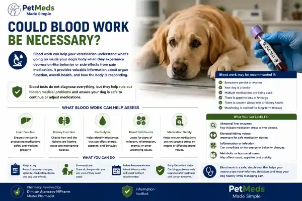 Can Pain Medication Cause Depression in Dogs?