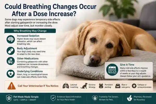 Can Gabapentin Cause Breathing Problems in Dogs?