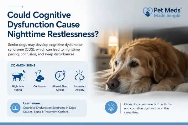 Why Is My Dog Restless at Night Despite Pain Medication