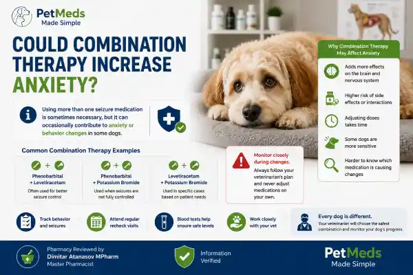 Can Seizure Medication Cause Anxiety in Dogs