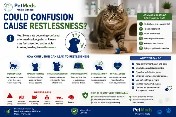 Can Gabapentin Cause Anxiety in Cats