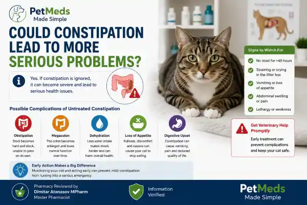 Can Gabapentin Cause Constipation in Cats