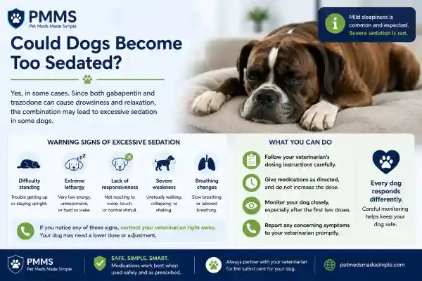 Can Dogs Take Gabapentin With Trazodone