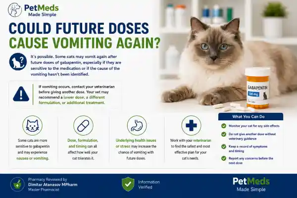 Can Gabapentin Cause Vomiting in Cats