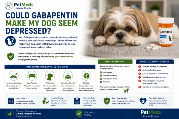 Can Pain Medication Cause Depression in Dogs