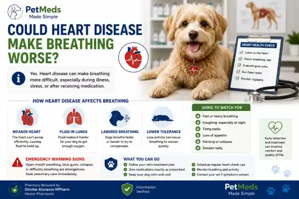 Why Is My Dog Breathing Hard After Medication