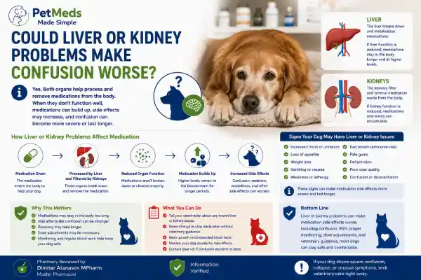 Why Is My Dog Acting Confused After Medication