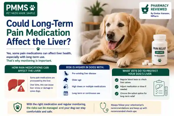 Can Dogs Take Pain Medication Long-Term
