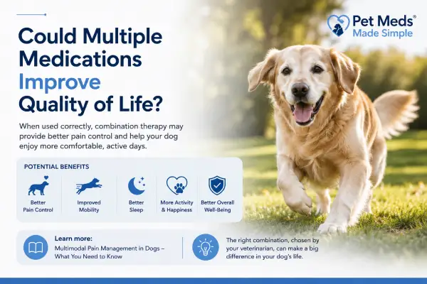 Can Dogs Take Multiple Pain Medications Together