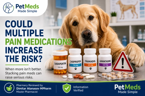 Can Pain Medication Cause Personality Changes in Dogs