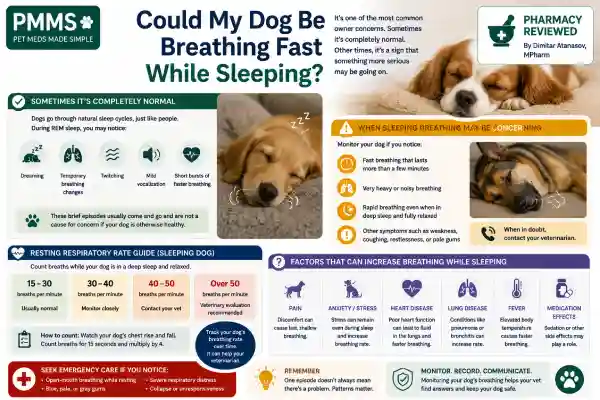 Why Is My Dog Breathing Fast on Gabapentin