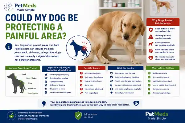 Why Is My Dog More Sensitive to Touch Suddenly