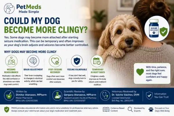 Can Seizure Medication Change Dog Personality