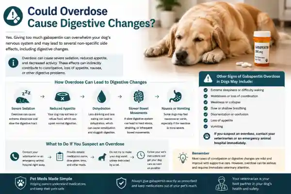 Can Gabapentin Cause Constipation in Dogs