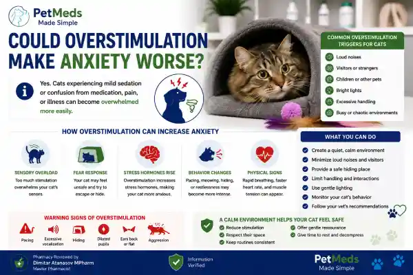 Can Gabapentin Cause Anxiety in Cats