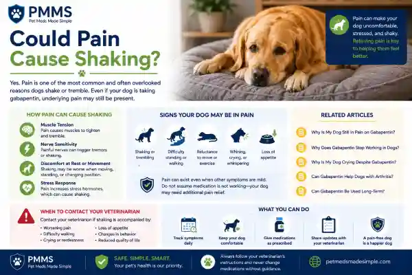Can Gabapentin Cause Shaking in Dogs?