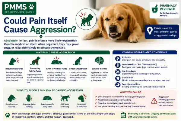 Can Pain Medication Cause Aggression in Dogs