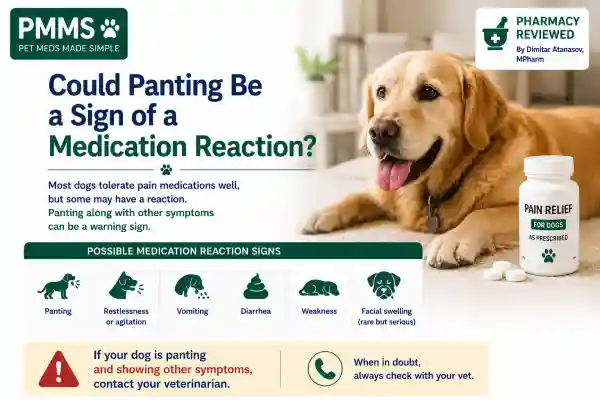 Why Is My Dog Panting After Pain Medication