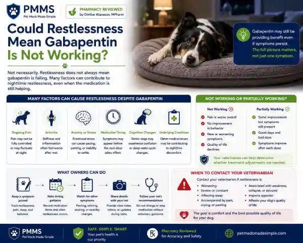 Why Is My Dog Restless at Night on Gabapentin