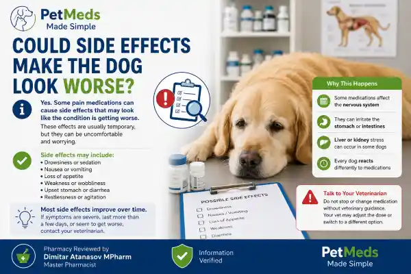 Why Is My Dog Not Improving on Pain Medication