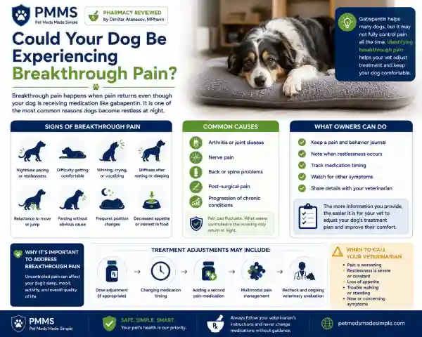 Why Is My Dog Restless at Night on Gabapentin