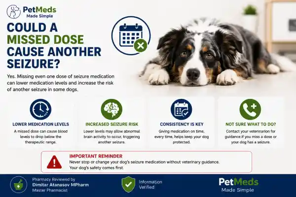 Could a Missed Dose Cause Another Seizure