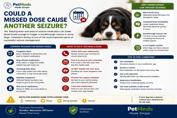 Could a Missed Dose Cause Another Seizure