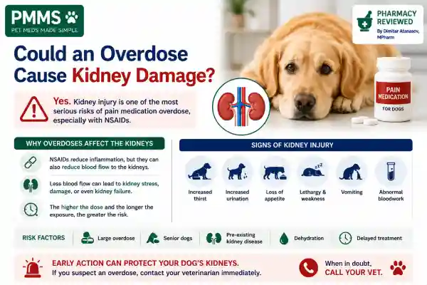 What Happens If Dogs Overdose on Pain Medication?