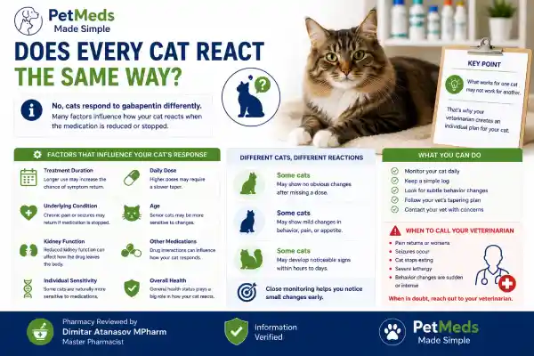 What Happens If Cats Suddenly Stop Gabapentin?