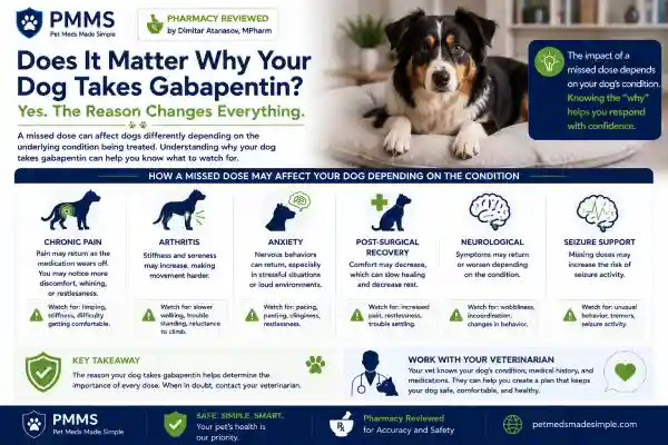 What Happens If My Dog Misses Gabapentin