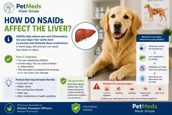 Can NSAIDs Cause Liver Damage in Dogs