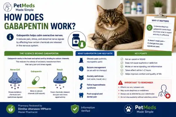 What Happens If Cats Suddenly Stop Gabapentin?