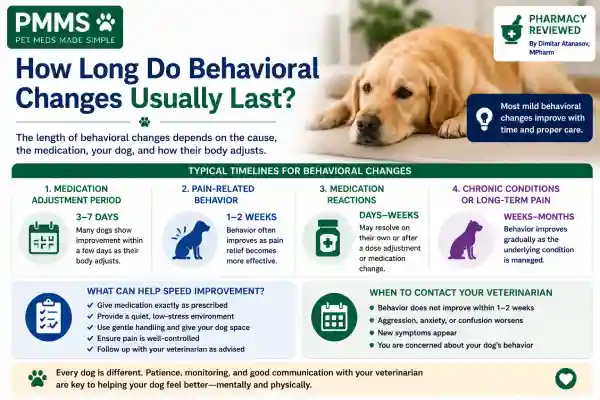 Can Pain Medication Cause Aggression in Dogs