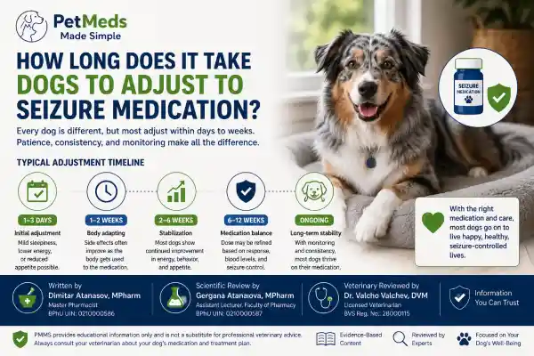 Can Seizure Medication Change Dog Personality