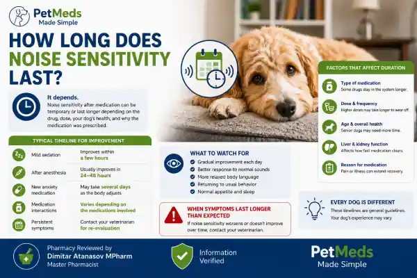 Why Is My Dog Sensitive to Noise After Medication