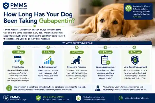 Why Is My Dog Still in Pain on Gabapentin