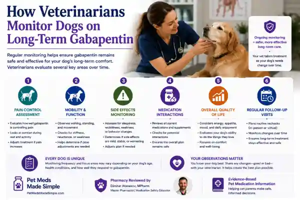 Can Dogs Take Gabapentin Long-Term Safely?
