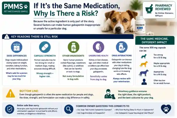 Can Dogs Take Human Gabapentin Capsules