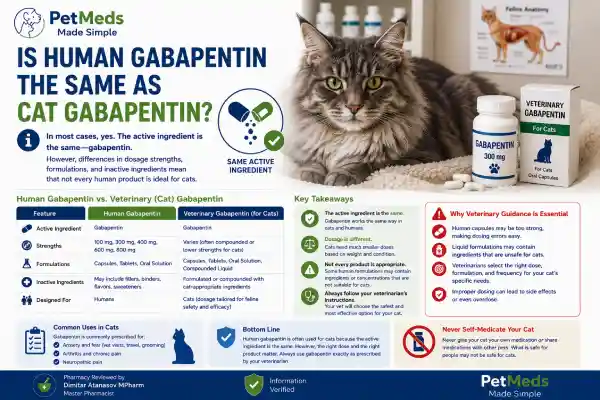 Is Human Gabapentin Safe for Cats